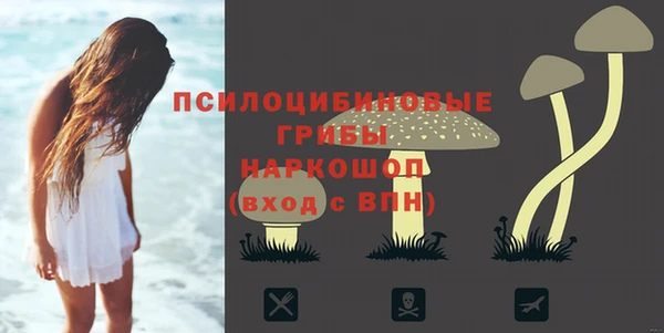 мдпв Наволоки