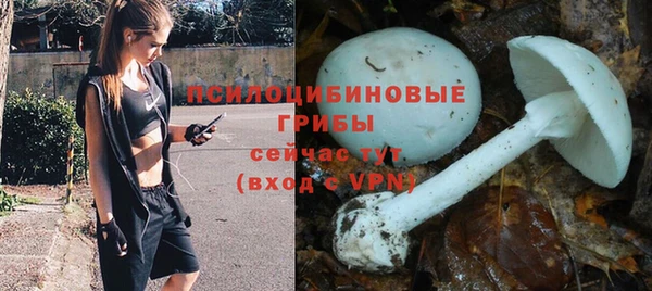 тгк Надым