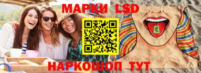 дживик Моздок