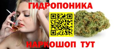 дживик Моздок