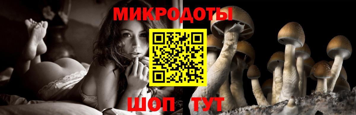 наркотики  Вход с VPN  Урус-Мартан  Псилоцибиновые грибы Cubensis 